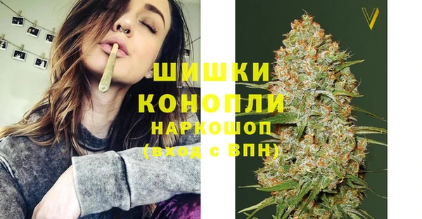 крисы Арсеньев