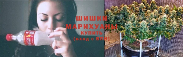 дживик Аркадак