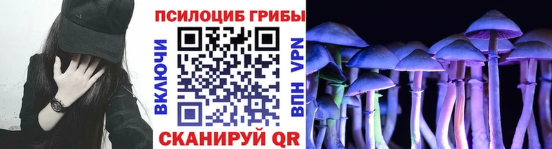 Галлюциногенные грибы прущие грибы  Купить  Нарьян-Мар 